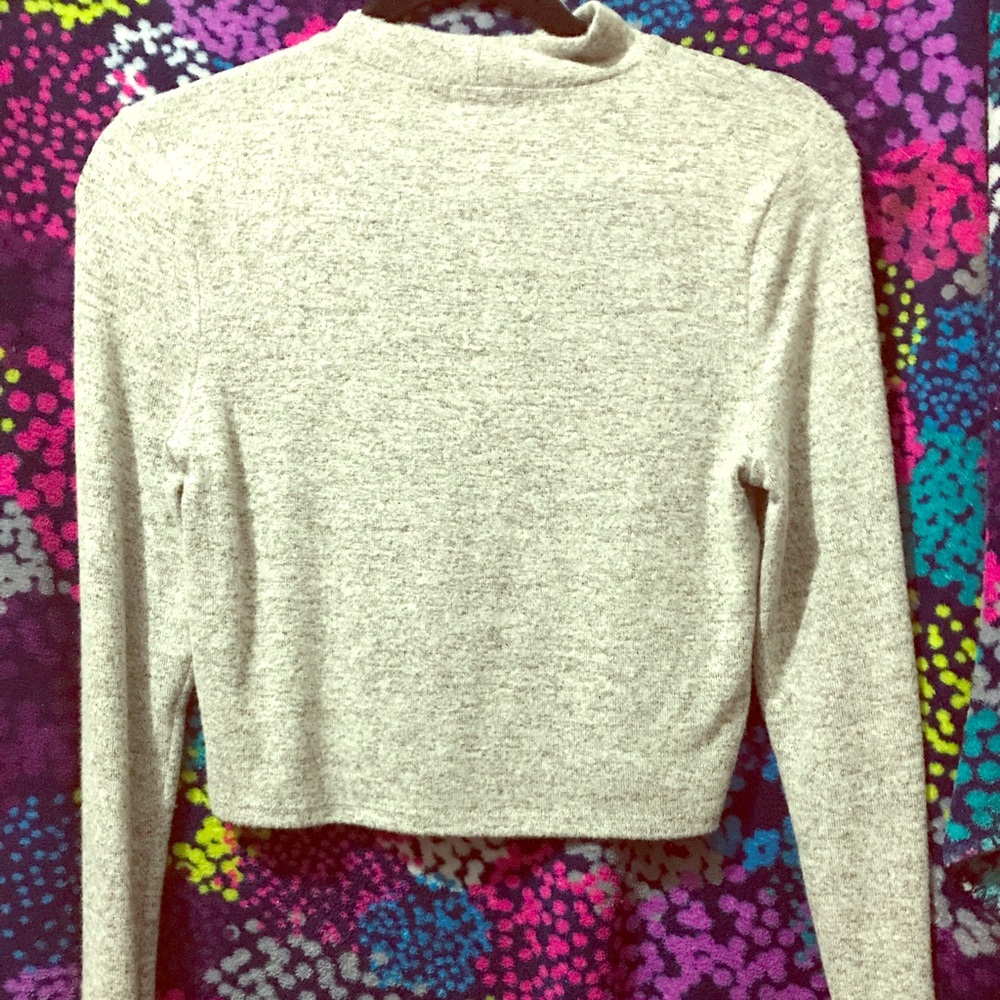 Grey turtle necklace crop sweater